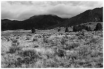 Grasslands below mountains. Great Sand Dunes National Park and Preserve ( black and white)