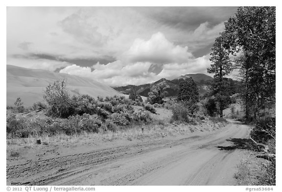 Medano Pass primitive road. Great Sand Dunes National Park and Preserve (black and white)