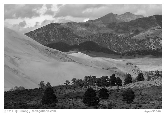 Sangre de Cristo range with bright patches of aspen above dunes. Great Sand Dunes National Park and Preserve (black and white)