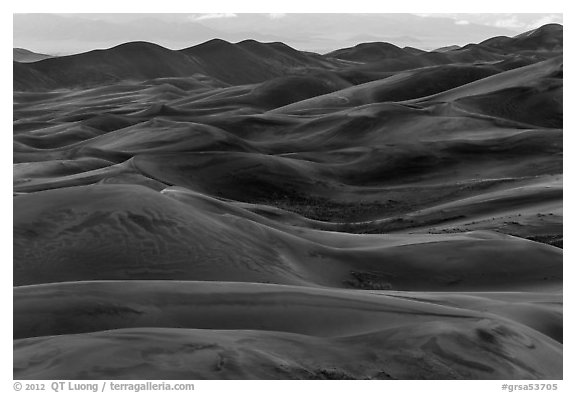 Dune ridges at dusk. Great Sand Dunes National Park and Preserve (black and white)