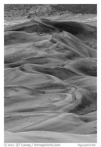 Dune field at dusk. Great Sand Dunes National Park and Preserve (black and white)