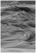 Dune field at dusk. Great Sand Dunes National Park, Colorado, USA. (black and white)