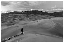 Park visitor looking, dune field. Great Sand Dunes National Park, Colorado, USA. (black and white)