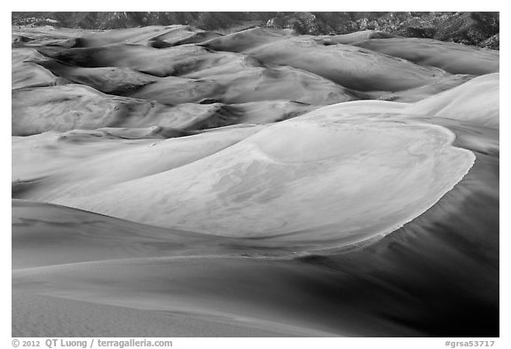 Dune field in lilac afterglow. Great Sand Dunes National Park and Preserve (black and white)