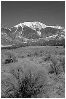 Desert-like sagebrush and snowy Sangre de Cristo Mountains. Great Sand Dunes National Park and Preserve ( black and white)