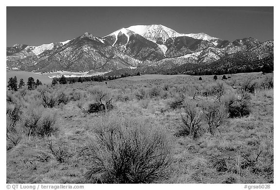 Desert-like sagebrush and snowy Sangre de Cristo Mountains. Great Sand Dunes National Park and Preserve (black and white)