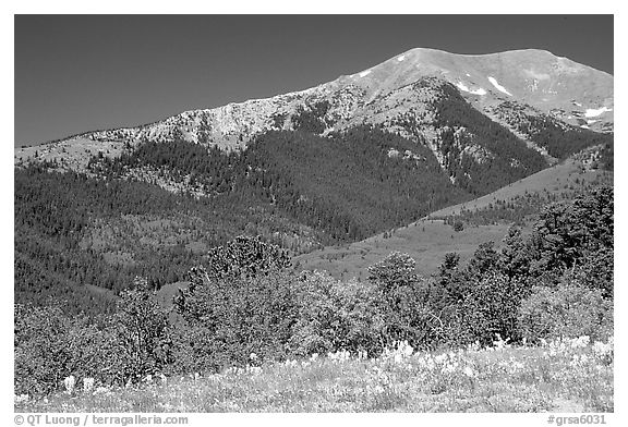 Sangre de Cristo Mountains near Medano Pass in summer. Great Sand Dunes National Park and Preserve (black and white)