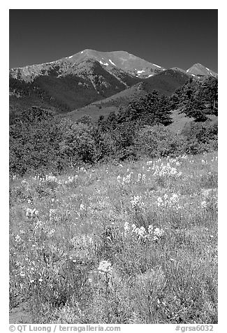 Summer meadow and Sangre de Cristo Mountains near Medano Pass. Great Sand Dunes National Park and Preserve (black and white)