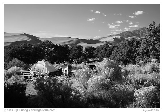 Pinyon Flats campground. Great Sand Dunes National Park and Preserve (black and white)