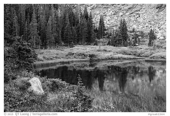 Lakeshore in autumn with shurbs and fir trees, Lower Sand Creek Lake. Great Sand Dunes National Park and Preserve (black and white)