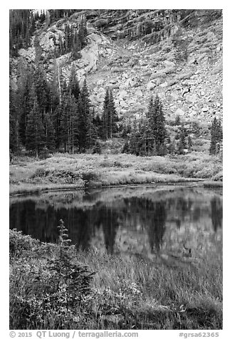 Autumn colors around Lower Sand Creek Lake. Great Sand Dunes National Park and Preserve (black and white)