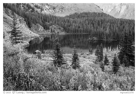 Autumn vegetation and alpine lake, Lower Sand Creek Lake. Great Sand Dunes National Park and Preserve (black and white)