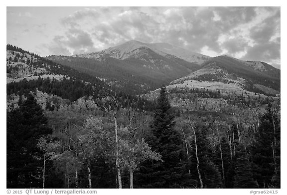 Mount Herard and autumn foliage at sunrise from Medano Pass. Great Sand Dunes National Park and Preserve (black and white)