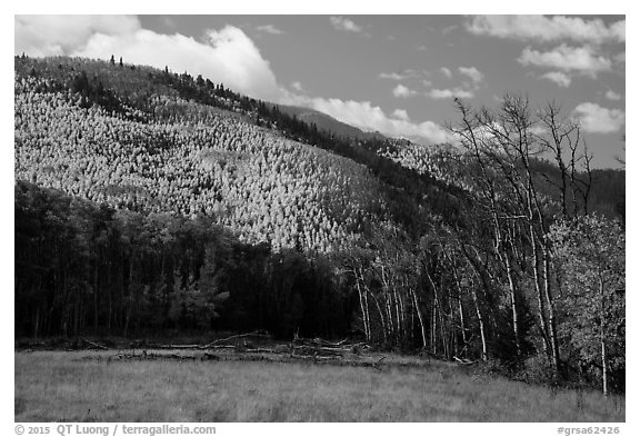 Meadow and hills in autumn foliage near Medano Pass. Great Sand Dunes National Park and Preserve (black and white)