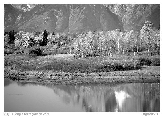 Autumn colors and reflections of Mt Moran in Oxbow bend. Grand Teton National Park (black and white)