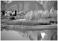 Autumn colors and reflections of Mt Moran in Oxbow bend. Grand Teton National Park, Wyoming, USA. (black and white)
