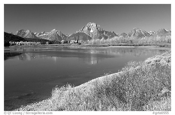 Fall colors and reflections of Mt Moran and Teton range in Oxbow bend. Grand Teton National Park (black and white)