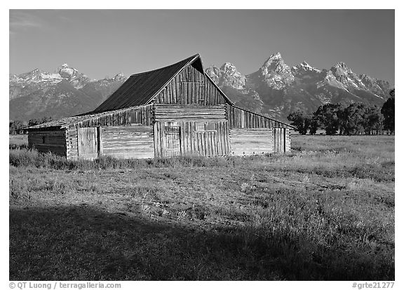 Historic Barn and Teton range, morning. Grand Teton National Park (black and white)