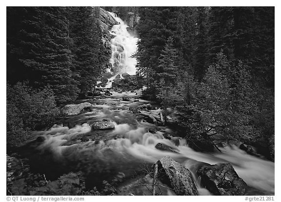 Hidden Falls, stream, and forest. Grand Teton National Park (black and white)