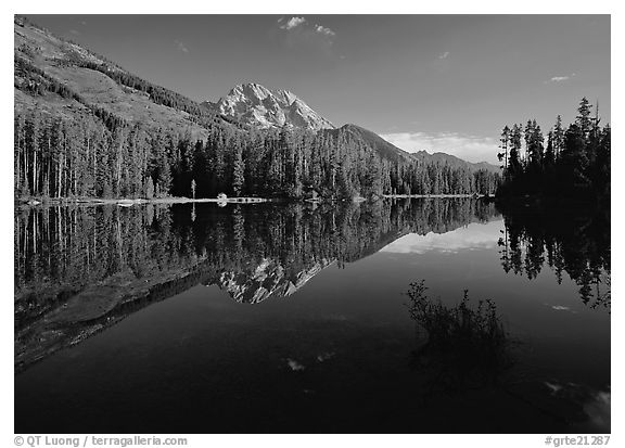 Leigh Lake with Mt Moran reflections, morning. Grand Teton National Park (black and white)