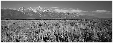Sagebrush-covered flat and mountain range. Grand Teton National Park (Panoramic black and white)