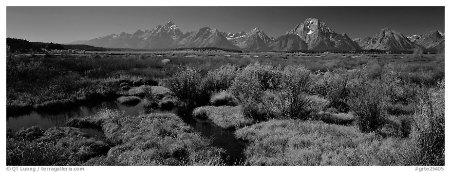 Wet meadows and mountains in the fall. Grand Teton National Park (black and white)