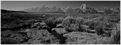 Wet meadows and mountains in the fall. Grand Teton National Park (Panoramic black and white)