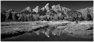 Mountains and fall colors reflected in pond, Schwabacher Landing. Grand Teton National Park (Panoramic black and white)
