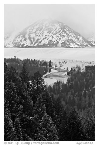 Trees with dusting of snow and Snake River. Grand Teton National Park (black and white)