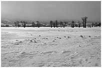 Snowy Antelope flats with snowdrift. Grand Teton National Park ( black and white)
