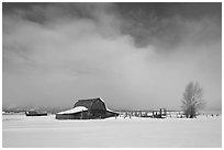 Moulton Barn in winter. Grand Teton National Park, Wyoming, USA. (black and white)