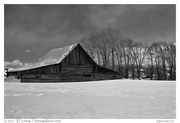 Wooden barn and cottonwoods in winter. Grand Teton National Park (black and white)