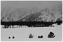 Trees, snowfield, and base of mountains at dusk. Grand Teton National Park ( black and white)