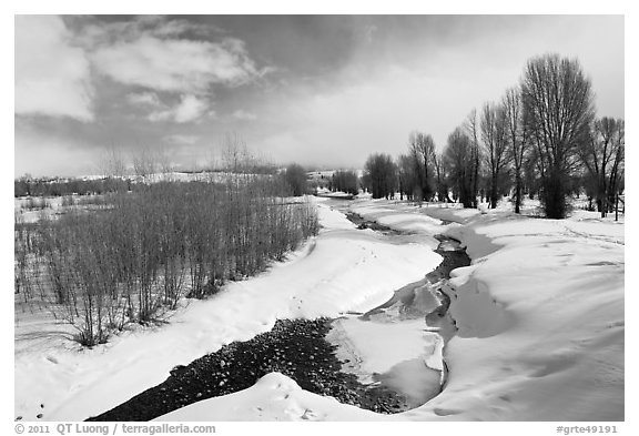 Snowscape with stream. Grand Teton National Park (black and white)