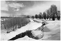Snowscape with stream. Grand Teton National Park ( black and white)
