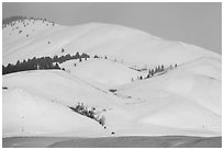 Snow-covered Blacktail Butte. Grand Teton National Park ( black and white)