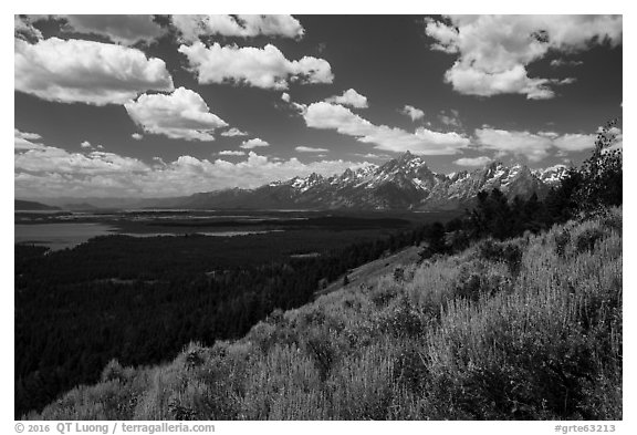Jackson Hole plain and Tetons from Signal Mountain. Grand Teton National Park (black and white)