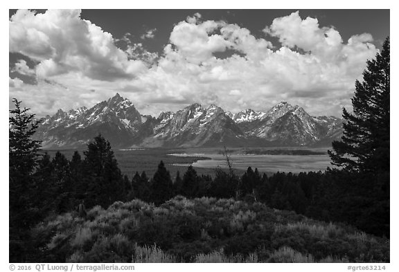 Visitor looking, Signal Mountain. Grand Teton National Park (black and white)
