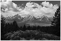 Visitor looking, Signal Mountain. Grand Teton National Park ( black and white)
