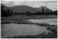 Beaver Dam and Teton Range. Grand Teton National Park ( black and white)