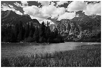 Grassy inlet, Phelps Lake. Grand Teton National Park ( black and white)