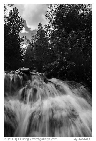 Waterfall,  Laurence S. Rockefeller Preserve. Grand Teton National Park (black and white)