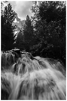 Waterfall,  Laurence S. Rockefeller Preserve. Grand Teton National Park ( black and white)