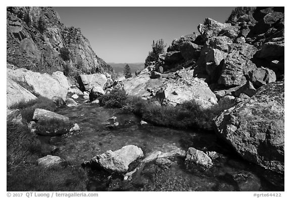 Creek at the Meadows, Garnet Canyon. Grand Teton National Park (black and white)