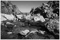 Creek at the Meadows, Garnet Canyon. Grand Teton National Park ( black and white)