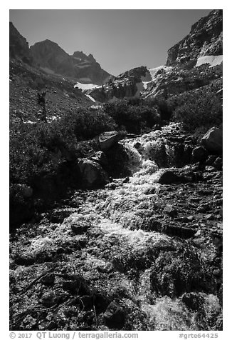 Cascading mountain stream, Garnet Canyon. Grand Teton National Park (black and white)