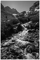 Cascading mountain stream, Garnet Canyon. Grand Teton National Park ( black and white)