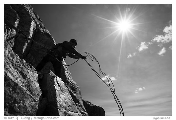 Climber throwing down ropes in preparation for rappel on Grand Teton. Grand Teton National Park (black and white)