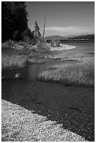 Island shoreline with grasses and clear water, Colter Bay. Grand Teton National Park ( black and white)