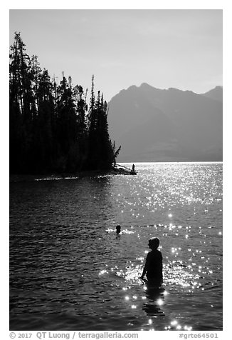 Late afternoon swim, Colter Bay. Grand Teton National Park (black and white)